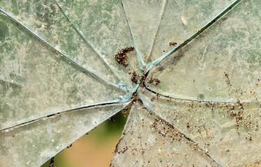 dirty, opaque broken glass, with a piece missing