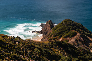 View of coastline near Cape Reinga Lighthouse (New Zealand's northern most point) with clear water and blue sky (North Island, New Zealand)