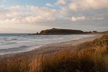 View of beautiful sunset on the shore of Cape Foulwind with orange greenery and beach views (Cape Foulwind, South Island, New Zealand)