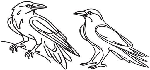 Vector crow drawing in one continuous line isolated on white background vector illustration