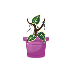 House Plant in Ceramic Pot. Trendy potted plants for home, office, store. Hand drawn vector illustration isolated on transparent background