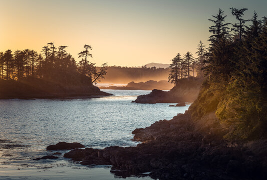 Stunning view of Pacific Rim, rugged west coast of Vancouver Island near Ucluelet during an evening golden light with its cliffs with trees. British Columbia, Canada