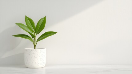 Beginners cooking in a bright kitchen soft light inviting environment eye-level perspective