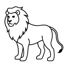 Lion Line Art Vector Illustration and Lion Outline Drawing