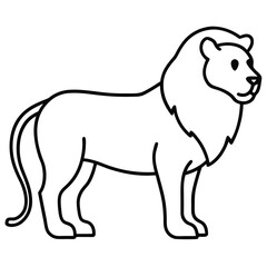 Lion Line Art Vector Illustration and Lion Outline Drawing