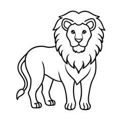 Lion Line Art Vector Illustration and Lion Outline Drawing