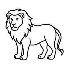 Lion Line Art Vector Illustration and Lion Outline Drawing