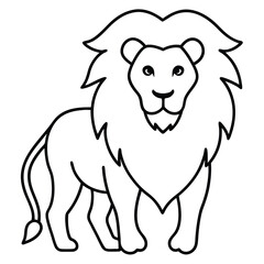 Lion Line Art Vector Illustration and Lion Outline Drawing