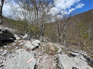Premuzic hiking trail or Premuzic Trail - Velebit Nature Park, Croatia or Premuzic-Wanderweg or Premuzic's Trail (Pješački planinarski put Premužićeva staza - Park prirode Velebit, Hrvatska)