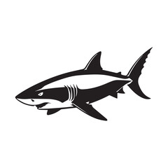 shark illustration