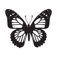 butterfly isolated on white background