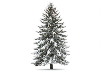 Fototapeta premium A tall tree covered in layers of snow on its branches, symbolizing winter serenity, isolated on a white background
