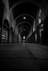 Majestic Library Hallway with Ancient Bookshelves