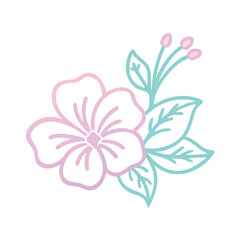 Feminine botanical logo featuring hibiscus flower