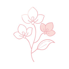 Feminine Minimalist botanic doodle art set featuring minimalist Luxury vintage flowers