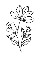 
 Botanic doodle art featuring minimalist Luxury vintage flowers