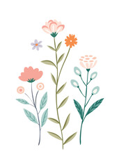  Botanic doodle art set featuring minimalist Luxury vintage flowers