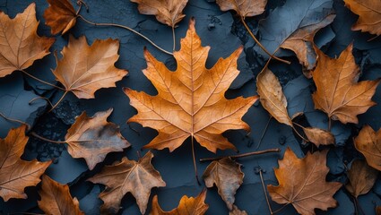 Intricate textures of a dry autumn leaf
