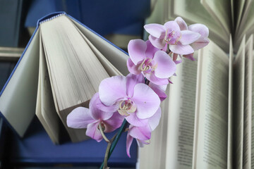 stack of books with orchid, close up. Open book on the table in library. Back to school concept....
