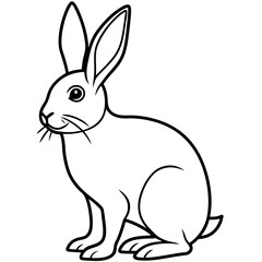 rabbit line art vector
