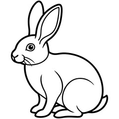 rabbit line art vector