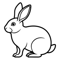 rabbit line art vector