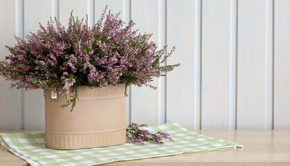 Common heather calluna vulgaris blooming in decorative metal pot on table with green checkered tablecloth