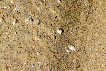 texture of sand