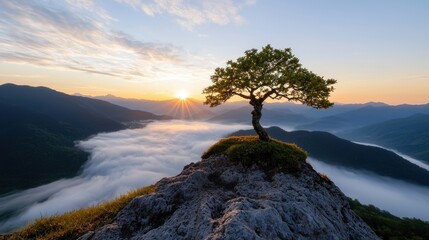 Sunrise Mountaintop Tree, Misty Landscape