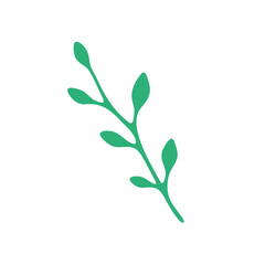 leaves,  A green vine with multiple leaves © tinybrushcreations