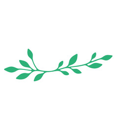 leaves,  A green vine with multiple leaves © tinybrushcreations