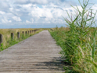 wooden walkway to the sea island of Sylt