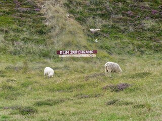 Nature reserve on the island of Sylt, Germany, with sign No Passage