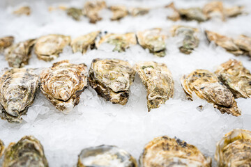 close up of fresh oysters shells on ice for sale at a fish market at a seafood vendor stall