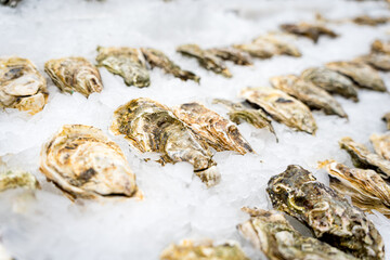 close up of fresh oysters shells on ice for sale at a fish market at a seafood vendor stall