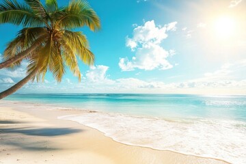 Scenic coral beach with palm tree sky shoreline outdoors