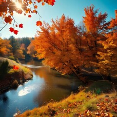 autumn in the forest