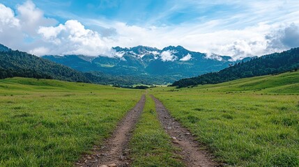 Fototapeta premium Dirt road leads through a lush green meadow towards majestic mountains under a blue cloudy sky.