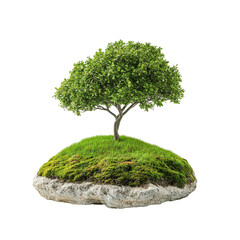 Floating Island with Tree