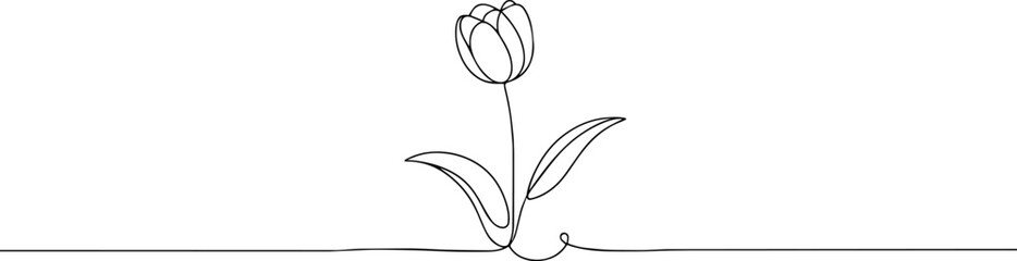 Tulip one line drawing.Abstract flower continuous line. Minimalist contour drawing of tulip. Continuous line drawing of flower tulip.Hand drawn sketch of flower with leaves.