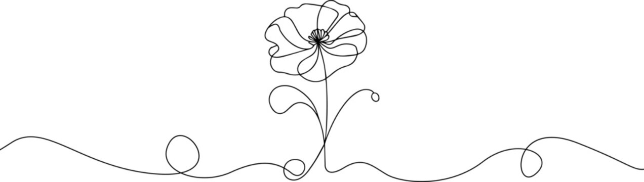 Poppy one line drawing. Abstract flower continuous line. Minimalist contour drawing of red poppy seed. Continuous line drawing of flower poppy seed.Hand drawn sketch of flower with leaves.