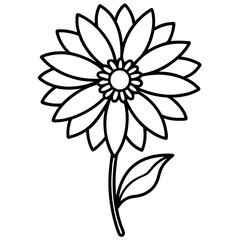 Gaillardia flower line art vector illustration