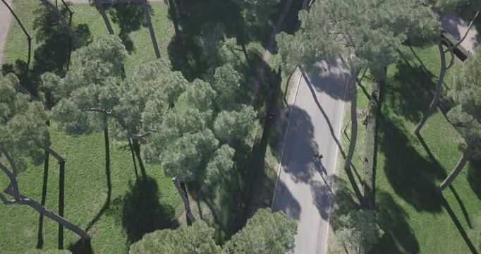 Roma Coliseu It&aacute;lia Hist&oacute;ria Arquitetura Antiguidade Arte Piazza Europa Arquitetura Turismo Monumentos Cultura Patrim&ocirc;nio Mundial Imp&eacute;rio Romano Ru&iacute;nas F&oacute;rum Romano Arcos Estradas Museus 