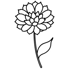 Scabiosa flower bold line art vector illustration