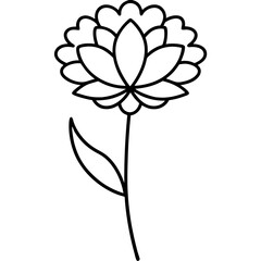 Scabiosa flower bold line art vector illustration