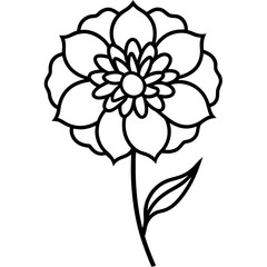 Scabiosa flower bold line art vector illustration