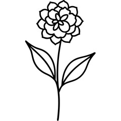 Statice  flower bold line art vector illustration