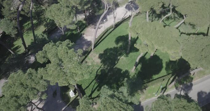 Roma Coliseu It&aacute;lia Hist&oacute;ria Arquitetura Antiguidade Arte Piazza Europa Arquitetura Turismo Monumentos Cultura Patrim&ocirc;nio Mundial Imp&eacute;rio Romano Ru&iacute;nas F&oacute;rum Romano Arcos Estradas Museus 