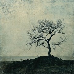 Solitary Tree on a Rocky Coastline