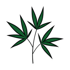 green leaves isolated on white background